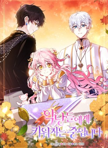IBRV S3 Cover