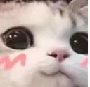 :blush: