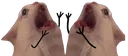 :catscream: