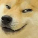 :dogsmirk: