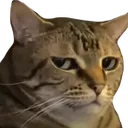 :hmmm: