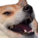 :keke: