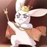 Stress out rabbit