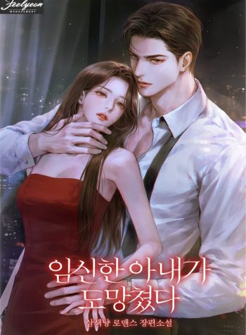The Pregnant Wife Ran Away cover
